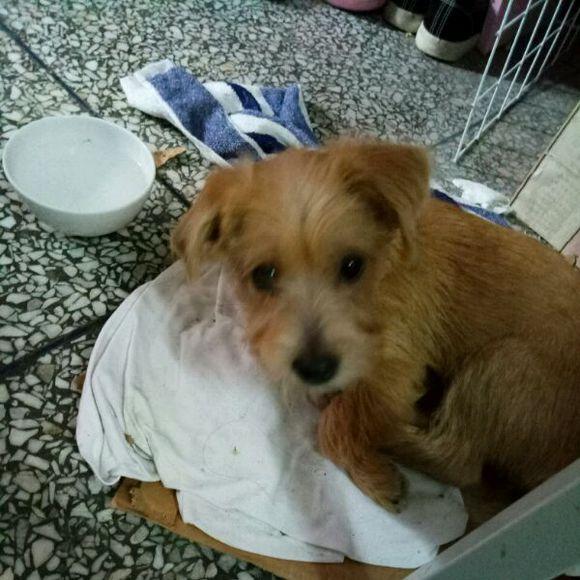 beat365亚洲体育官方网站|什么唇釉好用不掉色 唇釉获得了很多女生的青睐