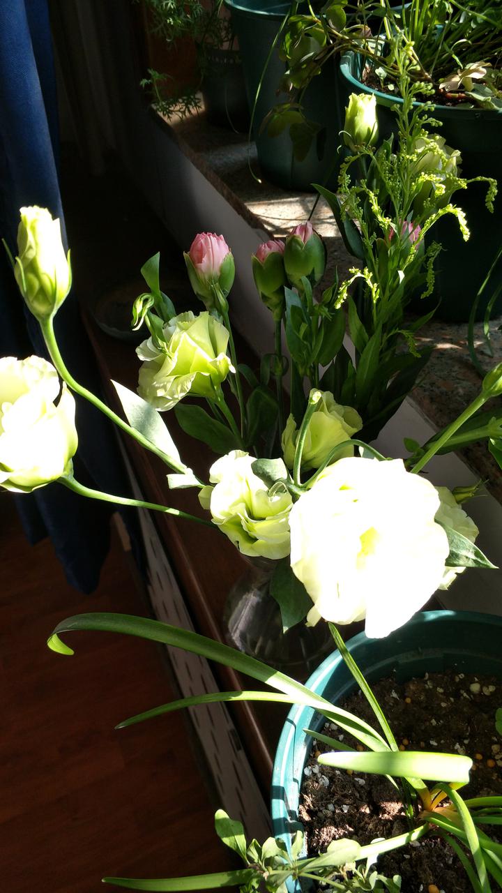 挑战无所畏惧 与技嘉一起见证SFSA冠军时刻【beat365官网】(图3) beat·365