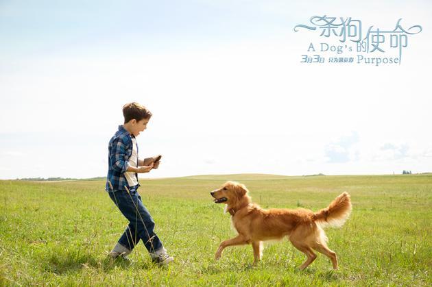 “beat·365”县委宣传部党支部到中共广西省工委历史博物馆开展“不忘初心、牢记使命”主题教育活动