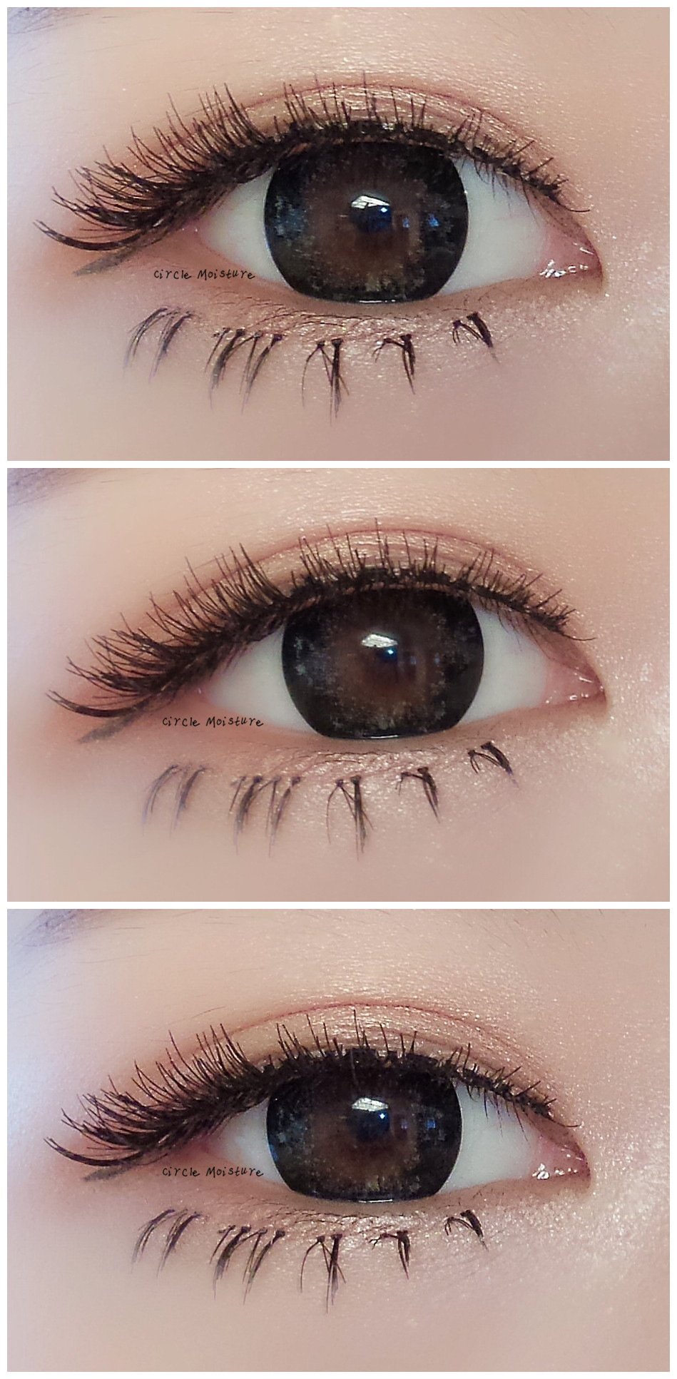 钟山县钟山镇2019年县级财政专项扶贫资金项目公示|beat·365