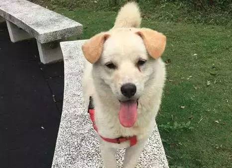 3个原因或导致宫颈糜烂 该如何科学用药‘beat365亚洲体育官方网站’