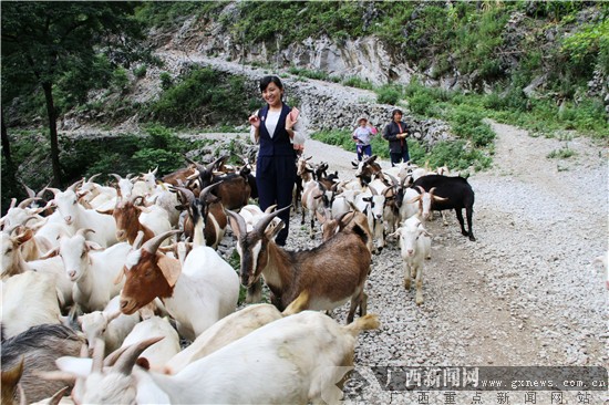 LPL打野位百花齐放:Beishang尤宠男枪,XLB最爱猪妹“beat365亚洲体育官方网站”(图2) beat·365