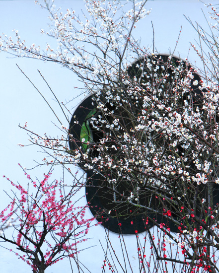 ‘beat365亚洲体育官方网站’调查:女人37男人40最容易出轨?(图4) beat365官网