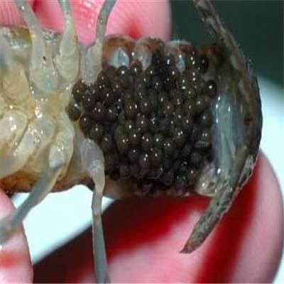 第六届能源法规世界论坛将于5月25-28日在伊斯坦布尔召开|beat·365