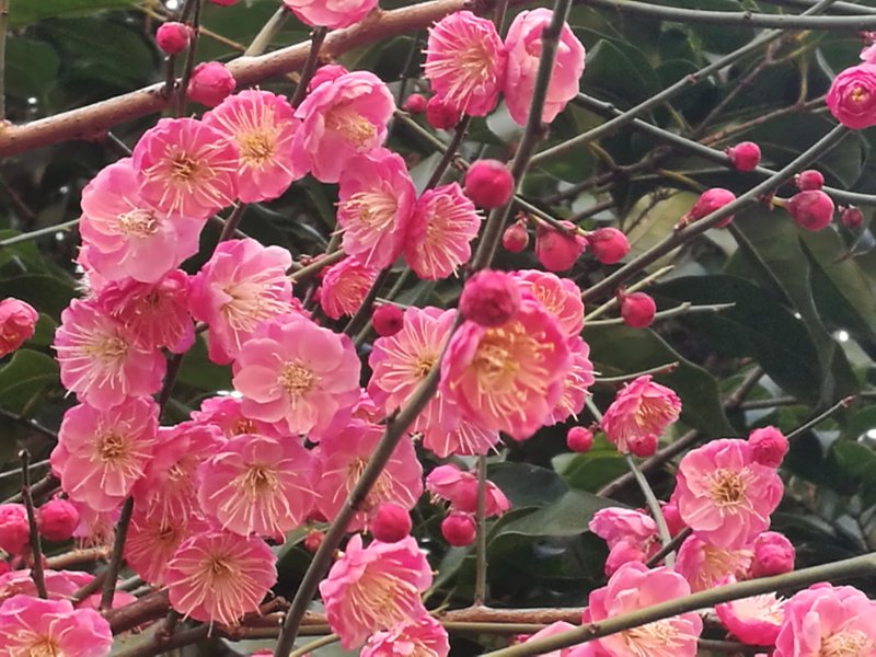 PUBG PIT深渊联赛:新版本首个国际大赛,FaZe液体参赛!“beat365官网”