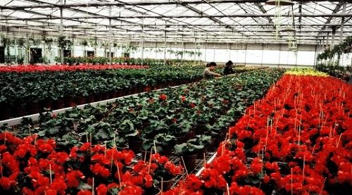 多发性子宫肌瘤的主要原因-beat·365