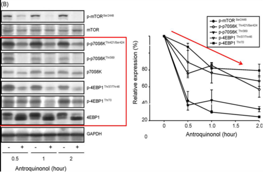德云社官方公布开箱预告 七队节目单率先曝光 粉丝看完满心失望_beat365亚洲体育官方网站(图2) beat365亚洲体育官方网站