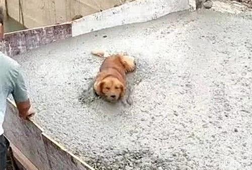 “beat365亚洲体育官方网站”美国法院指定接管人战胜中国清洁能源原董事长任宝文