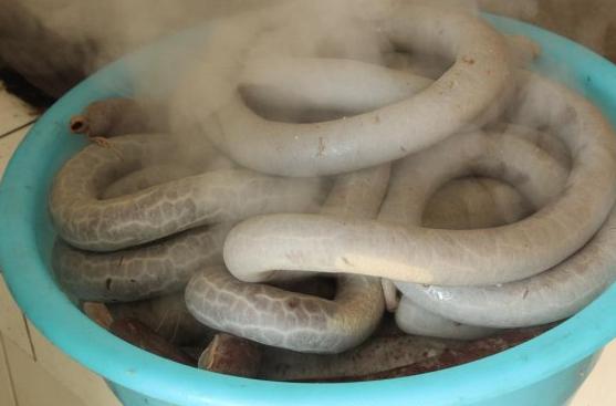 beat365亚洲体育官方网站|血手幽灵天命杯:最后一战V5和17谁能笑到最后?