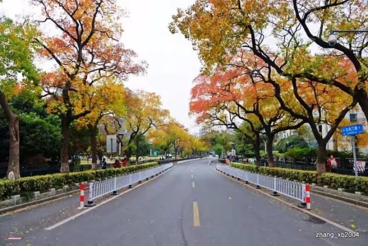 交通事故起纠纷  智慧调解促和谐_beat·365