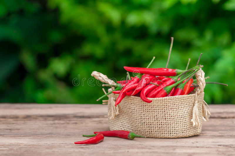 beat365亚洲体育官方网站