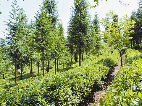 羽绒服怎么洗 羽绒服应该怎样洗最好呢?|beat·365