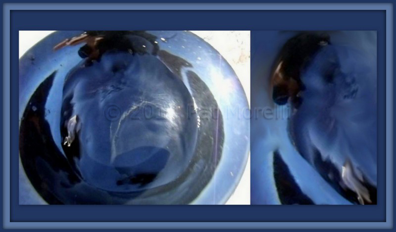 钟山县工商联多措并举做好新冠肺炎防控期间脱贫攻坚工作：beat·365