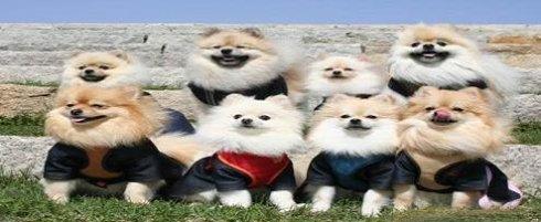 回归即登顶!脑力继承《最强大脑》第八季如何领跑开年综艺收视?“beat365亚洲体育官方网站”