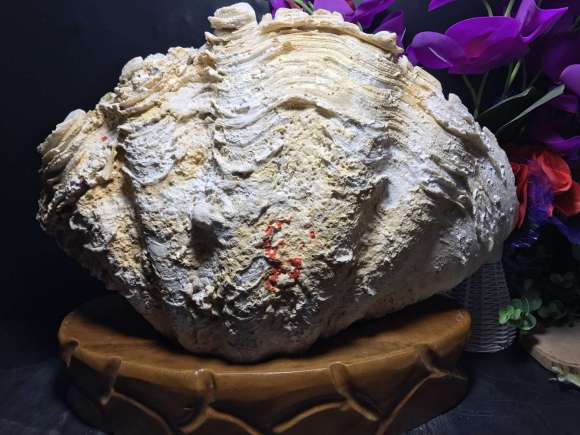 beat365官网：我县召开全县党员干部警示教育大会