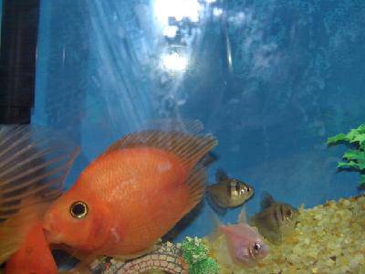 beat365亚洲体育官方网站|网红新曲掀热潮!《梦幻西游》电脑版梦幻敦煌版《生僻字》花式演绎(图2) beat365亚洲体育官方网站