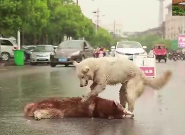 beat·365：频繁性生活可导致宫颈糜烂 宫颈糜烂有哪些预防方法