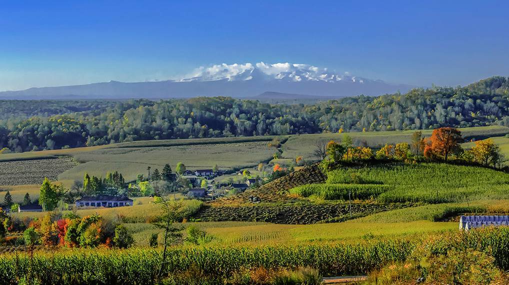 预防宫颈糜烂的6大要点|beat·365