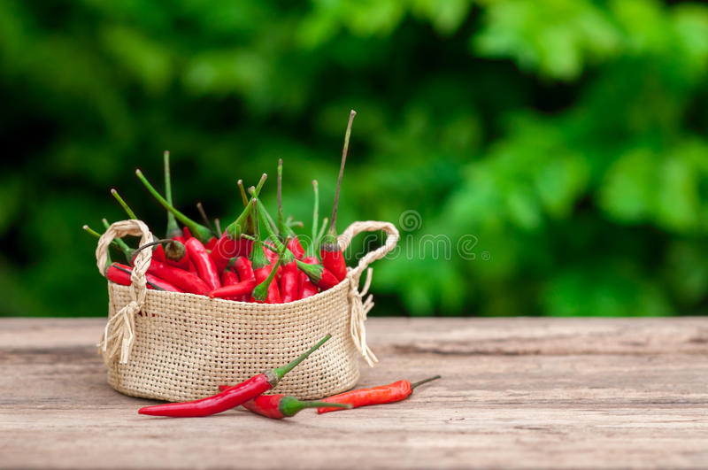 县审计局召开2019年“四卡一册一牌”对照检查培训会【beat365官网】