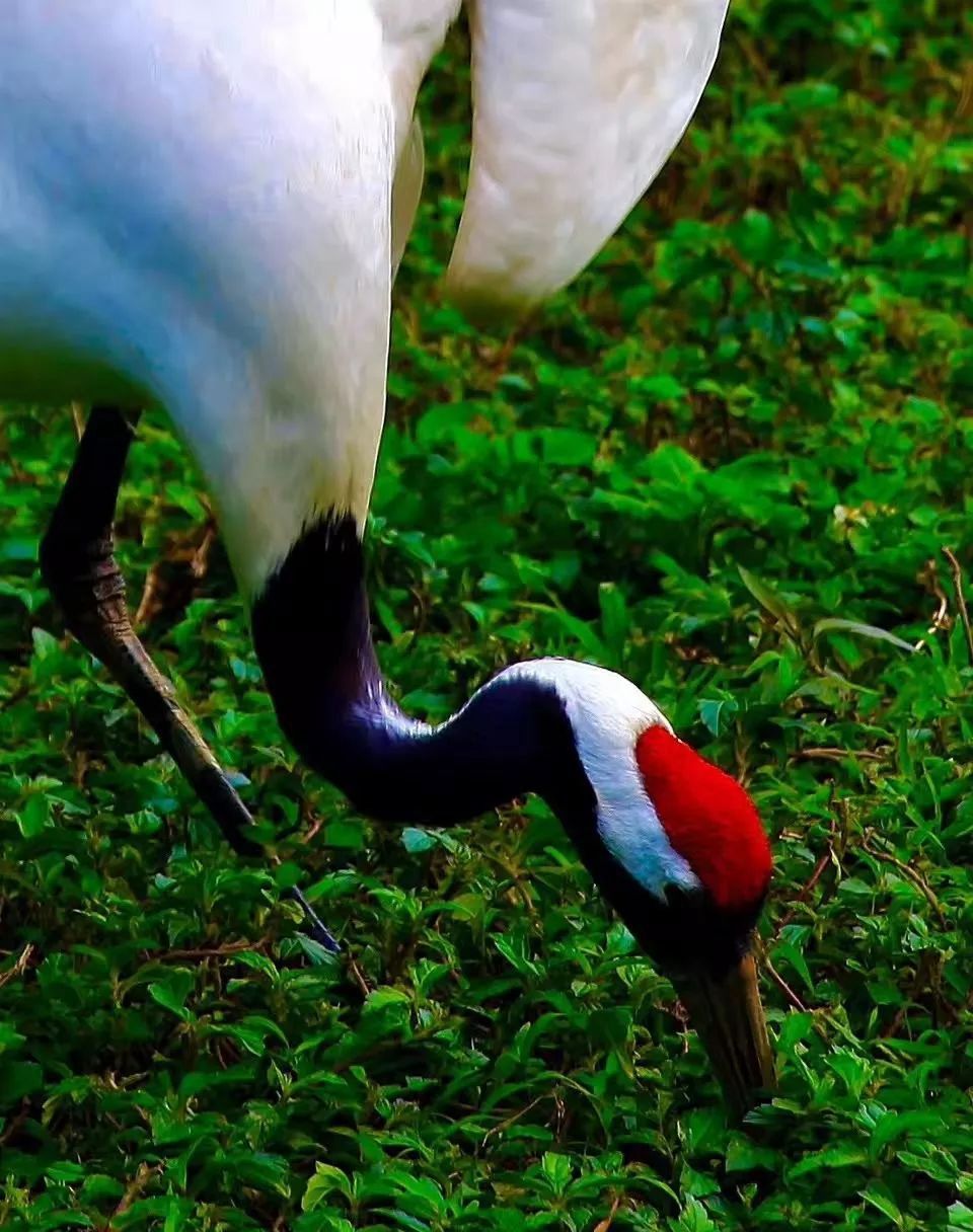 beat365亚洲体育官方网站：冬季养生暖身宝典