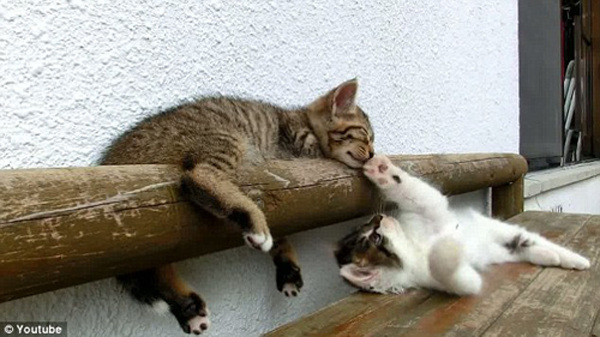 切除了乳腺还会得乳腺癌吗：beat365官网