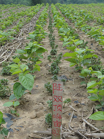 钟山县统计局开展“不忘初心、牢记使命”主题党日活动“beat365亚洲体育官方网站”