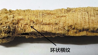 beat365亚洲体育官方网站