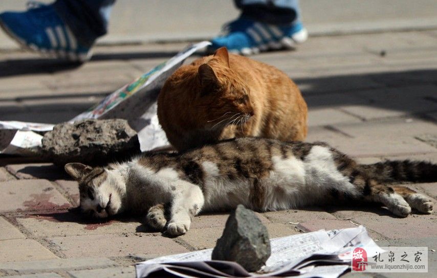 beat365亚洲体育官方网站