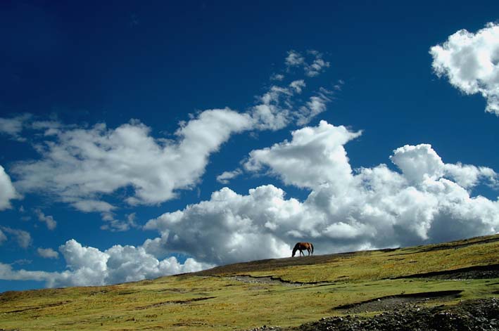 beat365官网_LCK冒泡赛对阵出炉 胜者将获S9入围赛资格