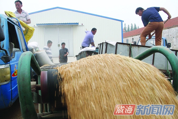 beat·365-疫情期间天天在家陪娃玩桌游，推荐这16款，3岁到8岁都能玩！