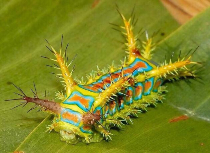 beat365亚洲体育官方网站